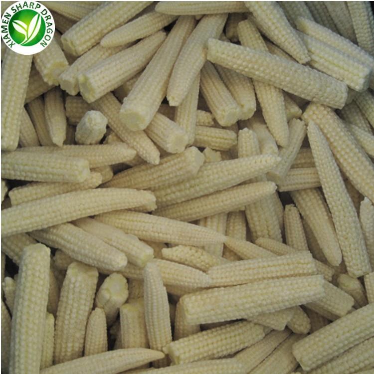 frozen mini corn on the cob product-1-1