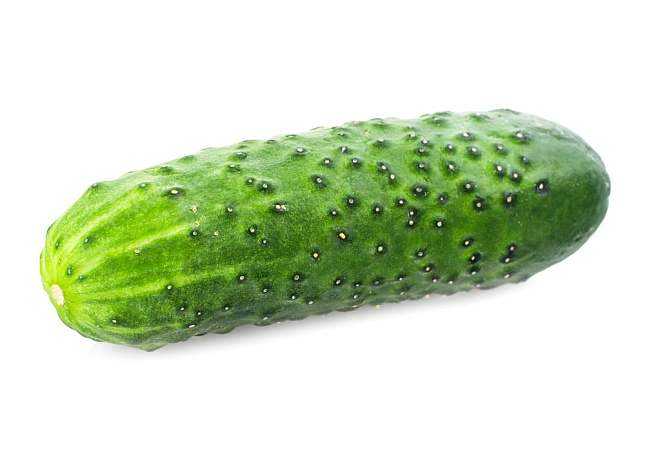 cucumber