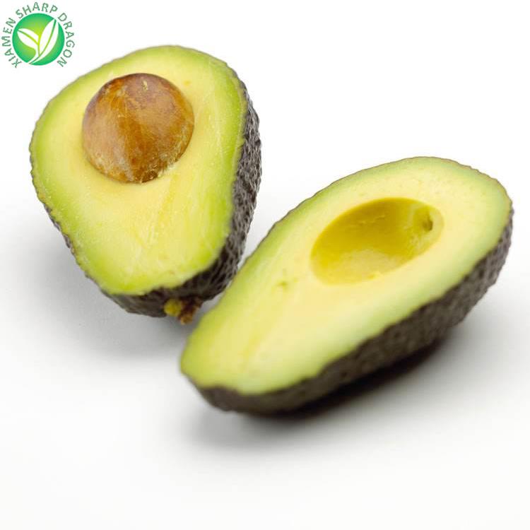  frozen avocado in bulk 