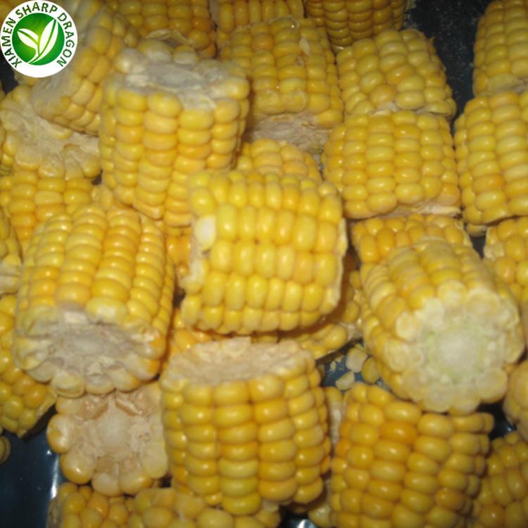 freeze corn on the cob raw freeze corn on the cob raw