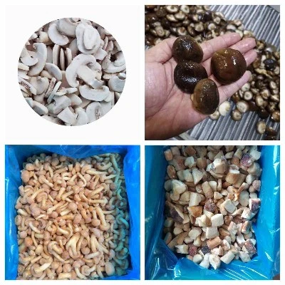Frozen mushroom mixed Frozen mushroom mixed