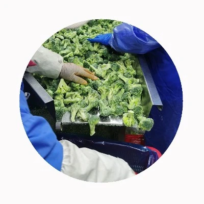 Does Freezing Broccoli Destroy Nutrients Does Freezing Broccoli Destroy Nutrients