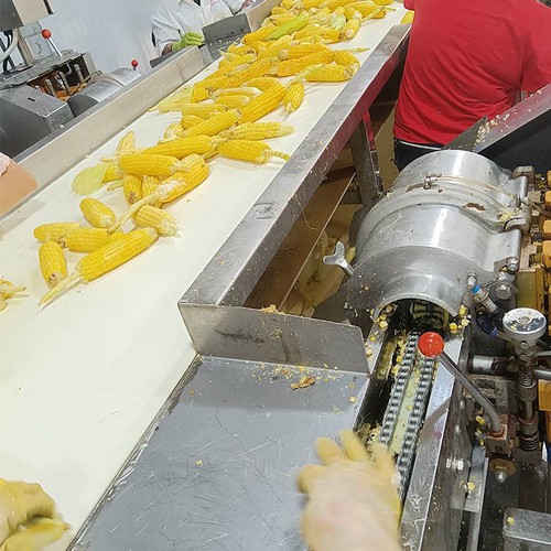 microwave frozen corn on the cob microwave frozen corn on the cob