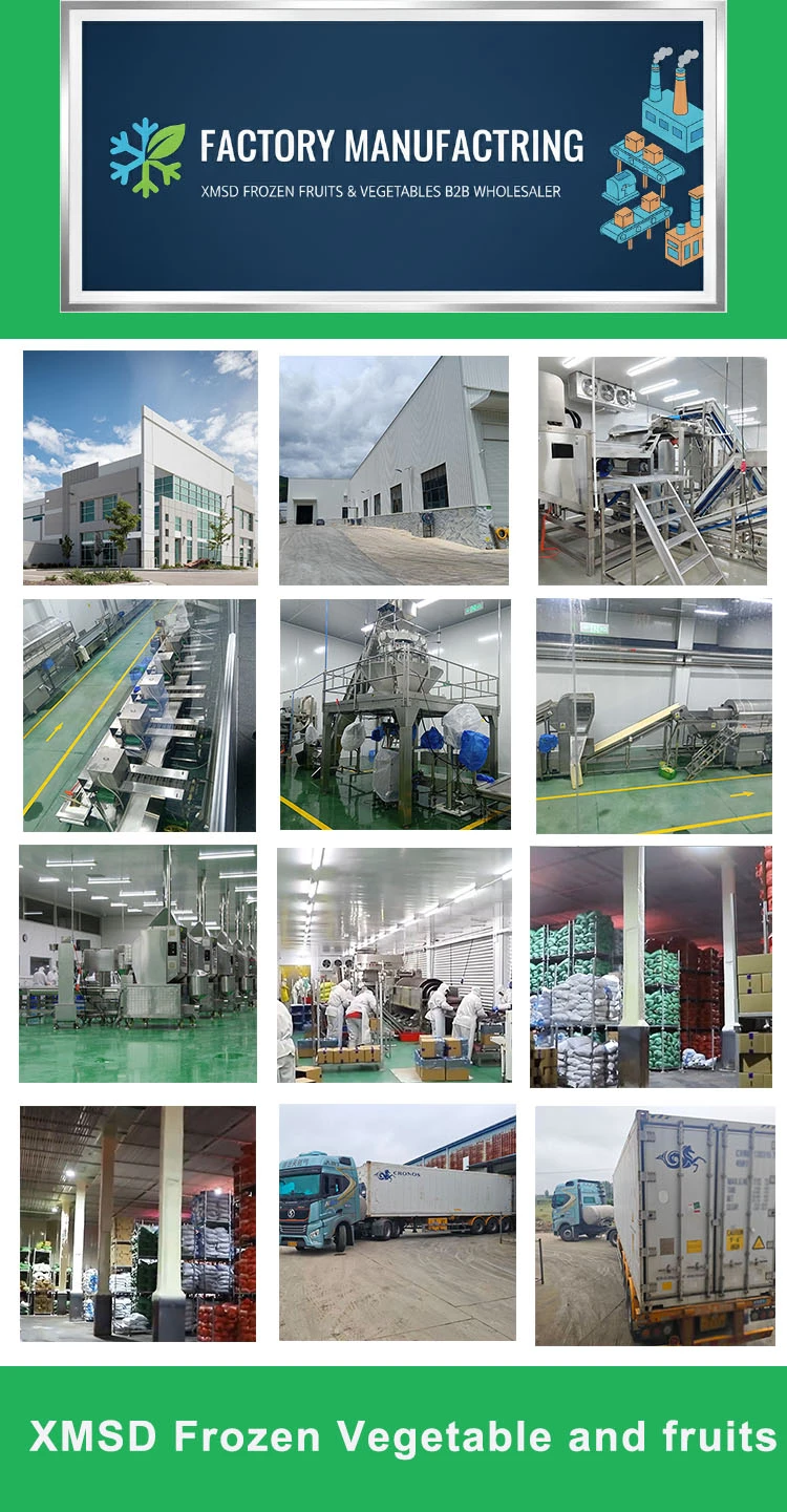 XMSD FACTORY XMSD FACTORY