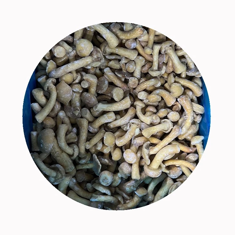 IQF Frozen Nameko Mushroom IQF Frozen Nameko Mushroom