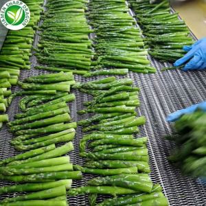 IQF saldēti zaļie sparģeļi