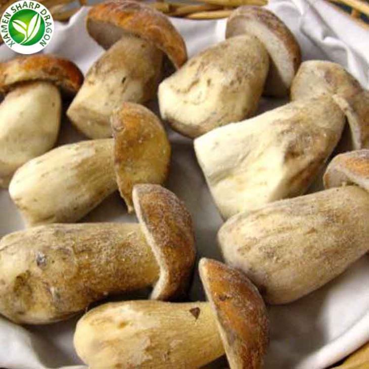 Wholesale of Frozen Boletus Mushrooms