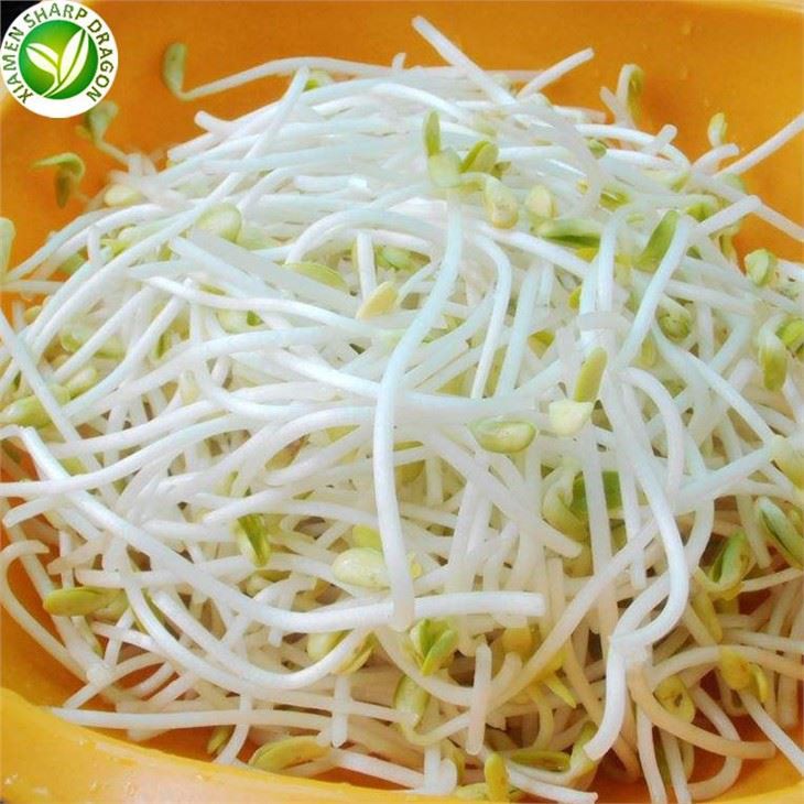 Pirkt Frozen Mung Bean Asni Online