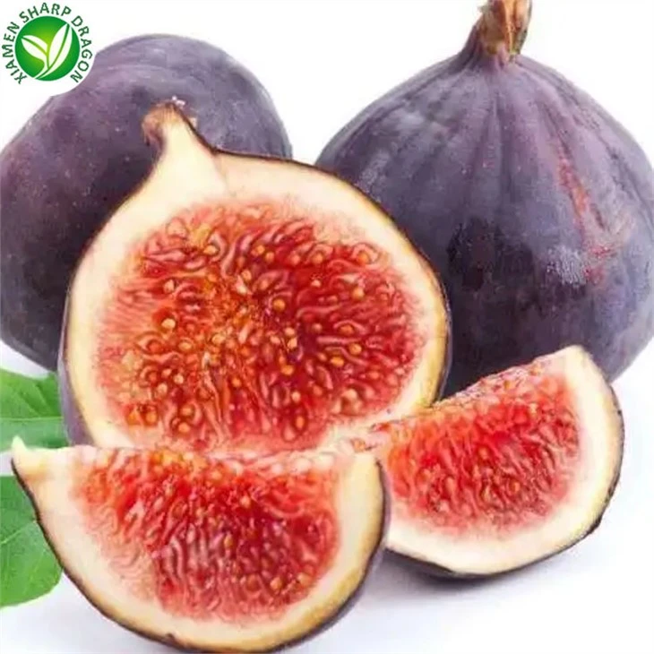 10 Kg Fig Fruit Price